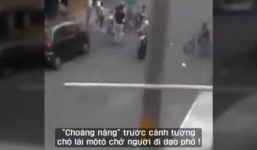 Clip: Chú chó đèo chủ phóng như bay trên đường